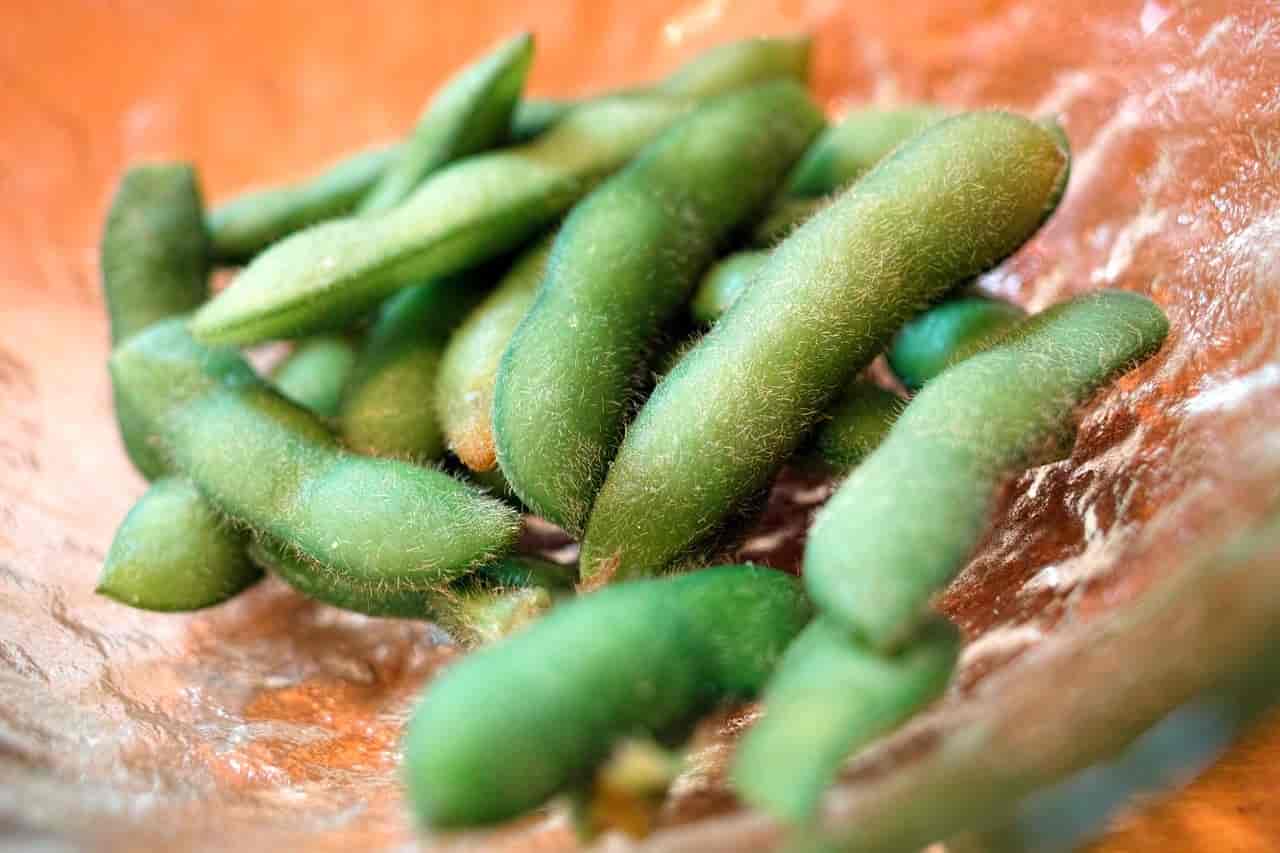 Soy Bean Pods