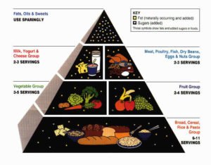 Food Pyramid